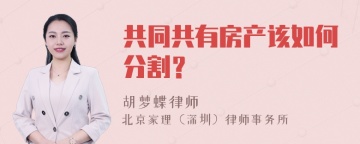 共同共有房产该如何分割？