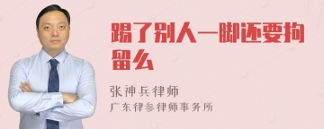 踢了别人一脚还要拘留么
