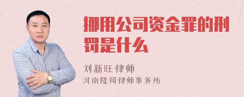 挪用公司资金罪的刑罚是什么