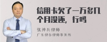 信用卡欠了一万多几个月没还，行吗