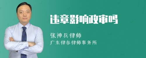 违章影响政审吗