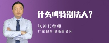 什么叫特别法人？