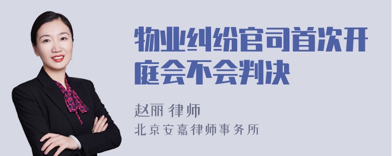 物业纠纷官司首次开庭会不会判决