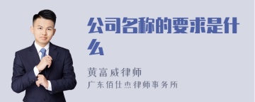 公司名称的要求是什么