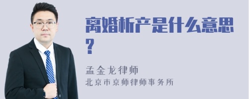 离婚析产是什么意思?