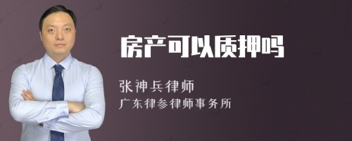 房产可以质押吗