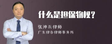 什么是担保物权？