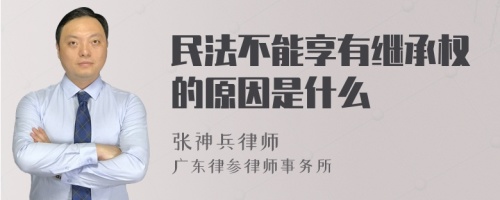 民法不能享有继承权的原因是什么