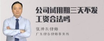 公司试用期三天不发工资合法吗