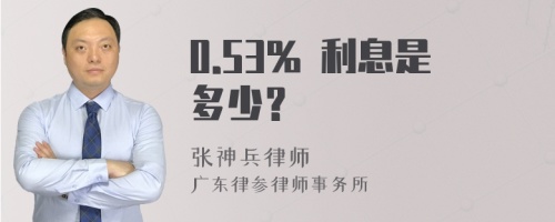 0.53% 利息是多少？