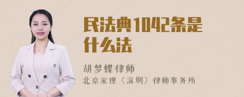 民法典1042条是什么法