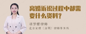 离婚诉讼过程中都需要什么资料？