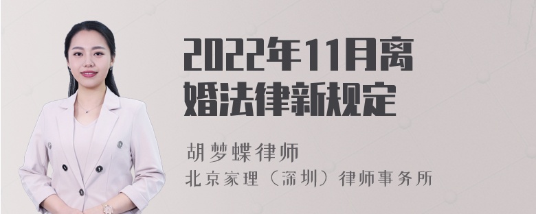 2022年11月离婚法律新规定