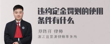 违约定金罚则的使用条件有什么