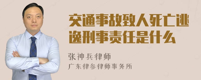 交通事故致人死亡逃逸刑事责任是什么