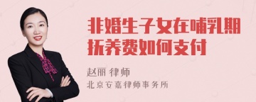 非婚生子女在哺乳期抚养费如何支付