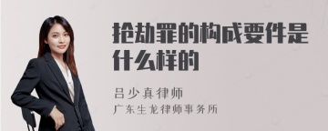 抢劫罪的构成要件是什么样的