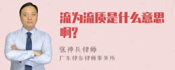 流为流质是什么意思啊?