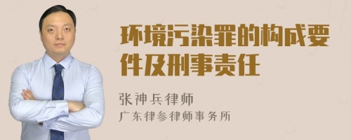 环境污染罪的构成要件及刑事责任