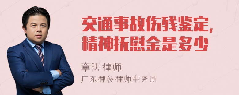 交通事故伤残鉴定，精神抚慰金是多少