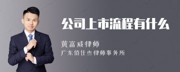 公司上市流程有什么