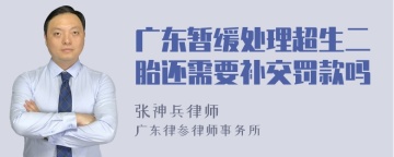 广东暂缓处理超生二胎还需要补交罚款吗