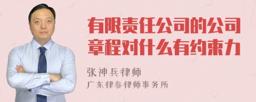 有限责任公司的公司章程对什么有约束力