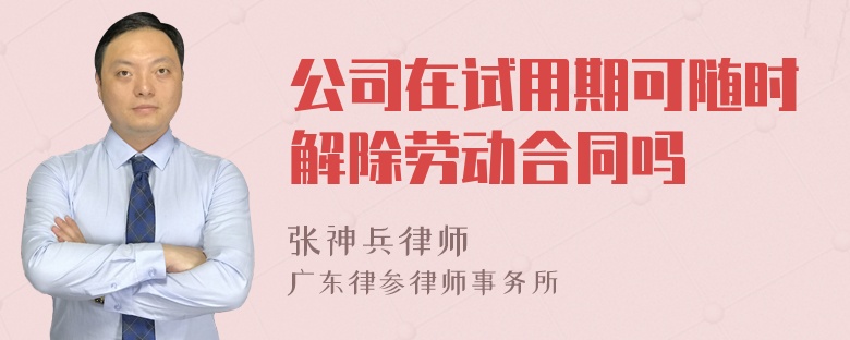 公司在试用期可随时解除劳动合同吗