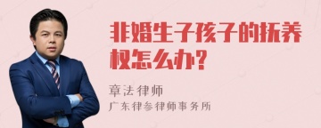 非婚生子孩子的抚养权怎么办?