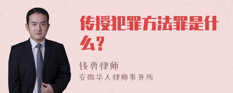 传授犯罪方法罪是什么？