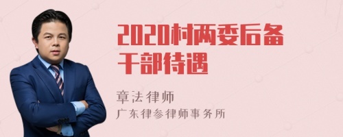 2020村两委后备干部待遇