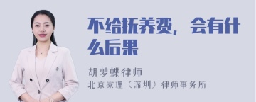 不给抚养费，会有什么后果