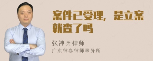 案件已受理，是立案就查了吗