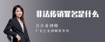 非法传销罪名是什么