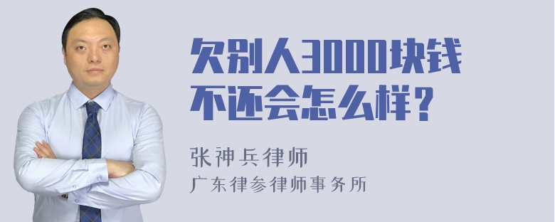 欠别人3000块钱不还会怎么样？