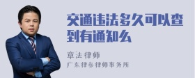 交通违法多久可以查到有通知么