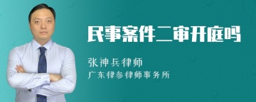 民事案件二审开庭吗