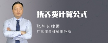 抚养费计算公式