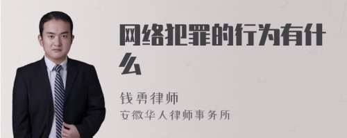 网络犯罪的行为有什么