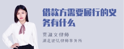 借款方需要履行的义务有什么