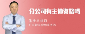 分公司有主体资格吗