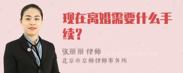 现在离婚需要什么手续？