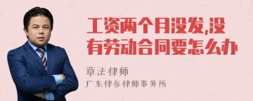 工资两个月没发,没有劳动合同要怎么办