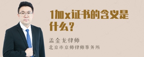 1加x证书的含义是什么？