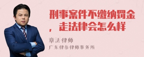 刑事案件不缴纳罚金，走法律会怎么样