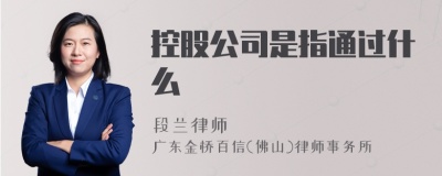 控股公司是指通过什么