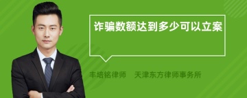 诈骗数额达到多少可以立案