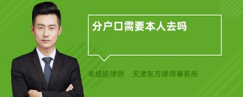 分户口需要本人去吗