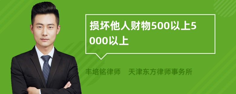 损坏他人财物500以上5000以上