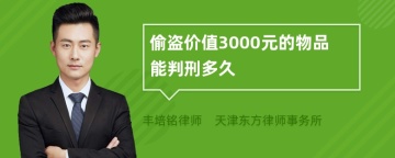 偷盗价值3000元的物品能判刑多久